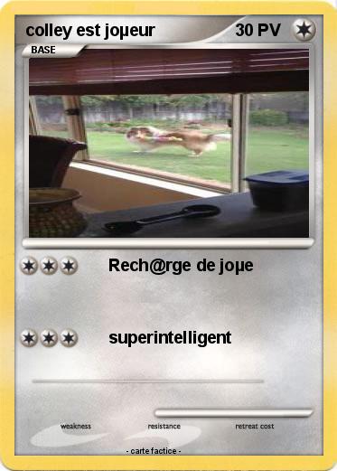 Pokemon colley est joµeur