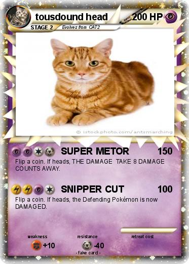 Pokemon tousdound head