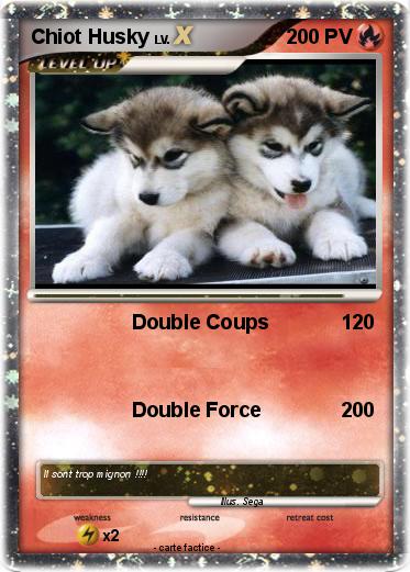 Pokemon Chiot Husky