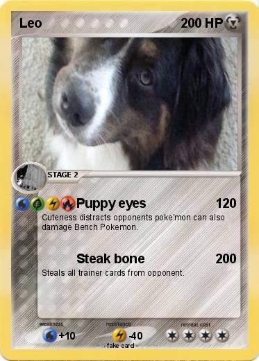 Pokemon Leo