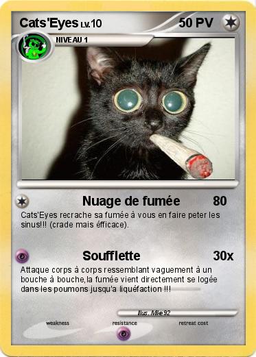 Pokemon Cats'Eyes