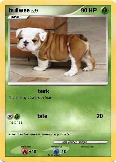 Pokemon bullwee