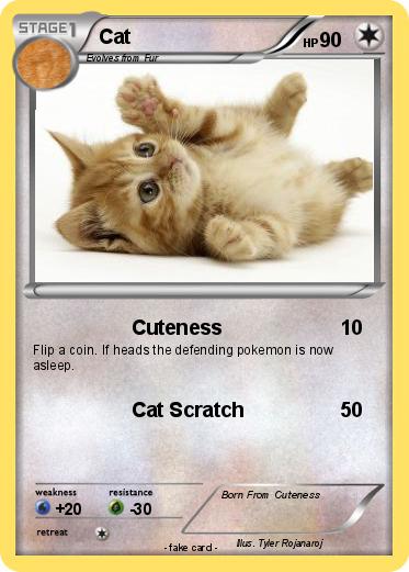 Pokemon Cat