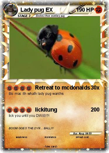 Pokemon Lady pug EX