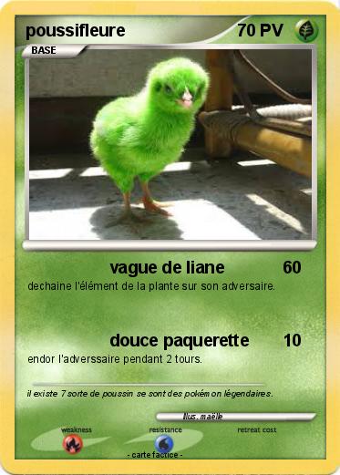 Pokemon poussifleure