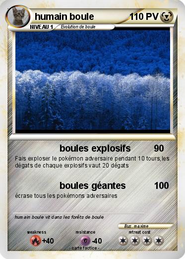 Pokemon humain boule