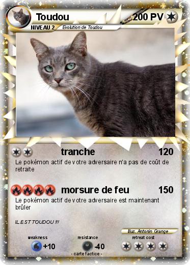 Pokemon Toudou