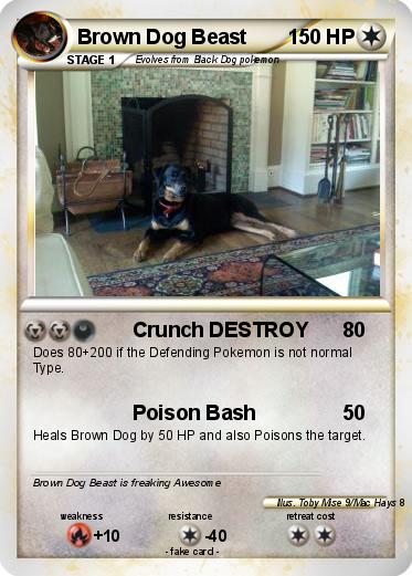 Pokemon Brown Dog Beast