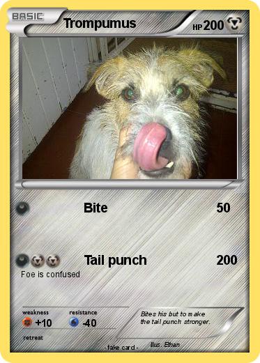 Pokemon Trompumus