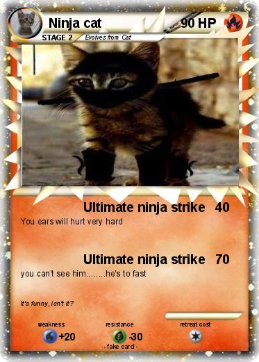 Pokemon Ninja cat