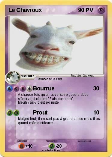 Pokemon Le Chavroux