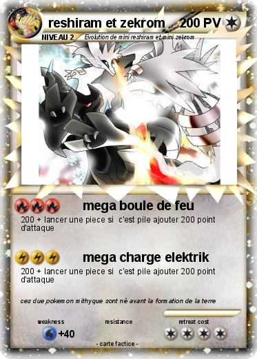 Pokemon reshiram et zekrom