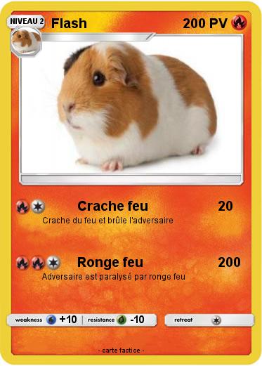 Pokemon Flash