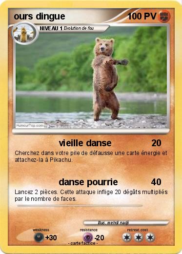 Pokemon ours dingue