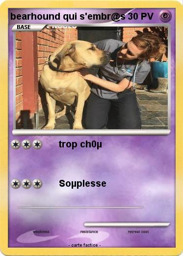 Pokemon bearhound qui s'embr@s