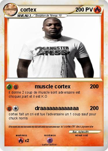 Pokemon cortex
