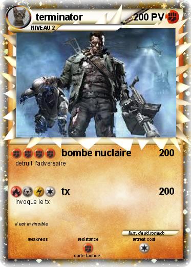 Pokemon terminator