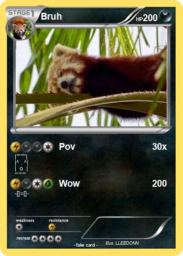Pokemon Bruh