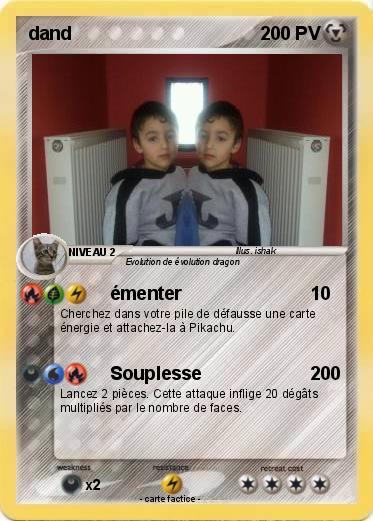 Pokemon dand