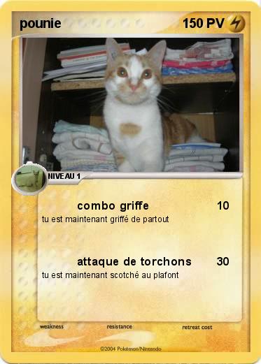 Pokemon pounie