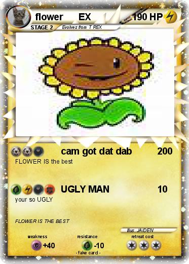 Pokemon flower      EX