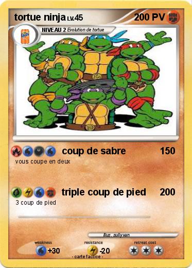 Pokemon tortue ninja