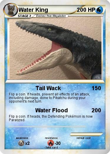 Pokemon Water King