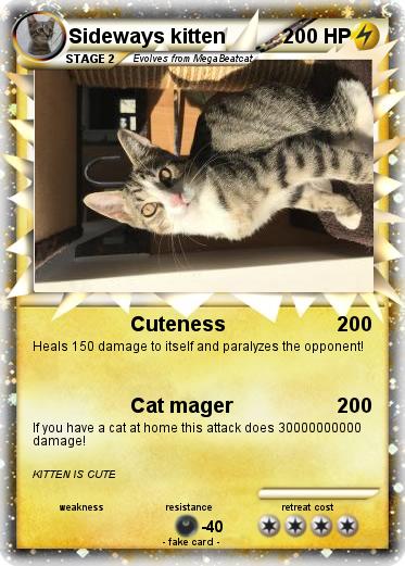Pokemon Sideways kitten