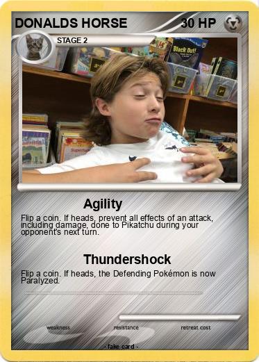 Pokemon DONALDS HORSE