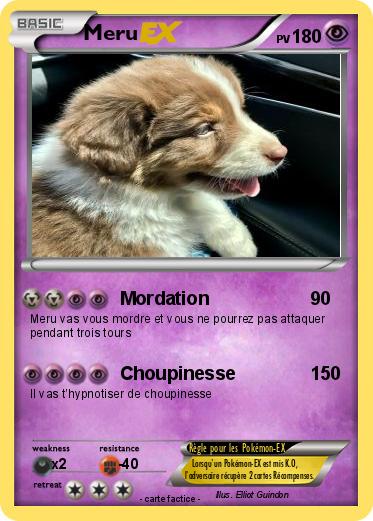 Pokemon Meru