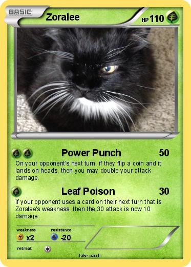 Pokemon Zoralee