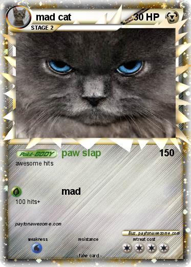 Pokemon mad cat