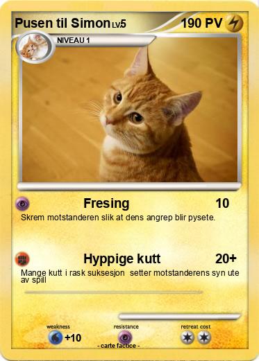 Pokemon Pusen til Simon