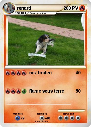 Pokemon renard
