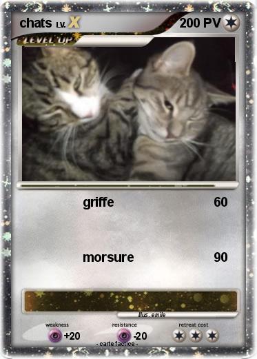 Pokemon chats