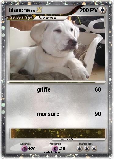 Pokemon blanche