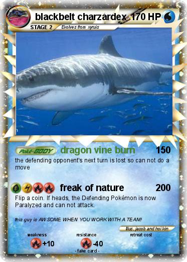 Pokemon blackbelt charzardex