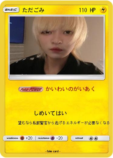 Pokemon ただごみ