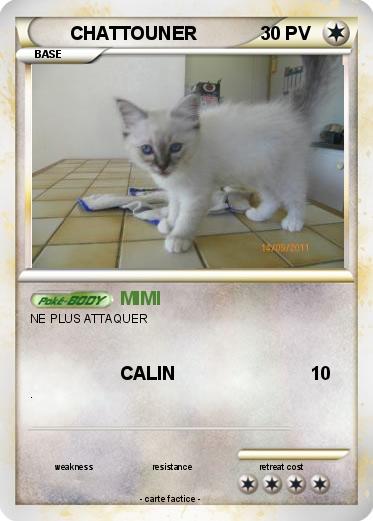 Pokemon CHATTOUNER