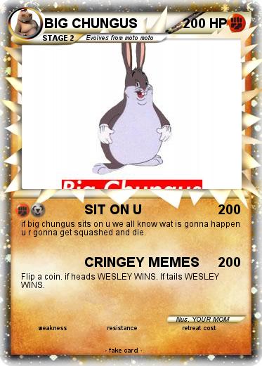 Pokemon BIG CHUNGUS