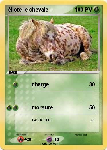 Pokemon éliote le chevale