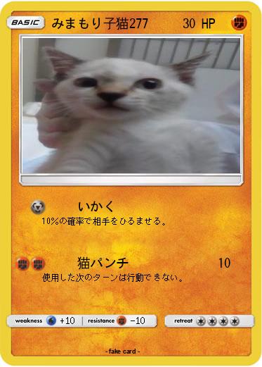Pokemon みまもり子猫277
