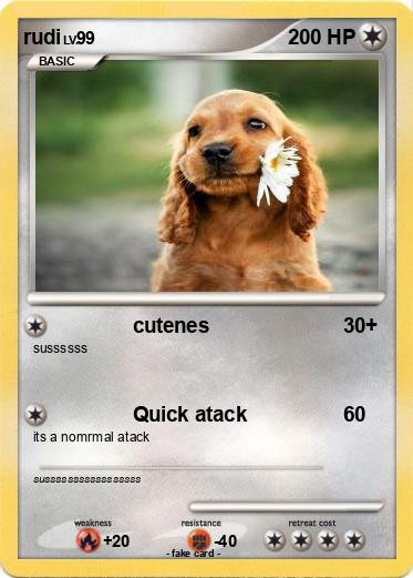 Pokemon rudi