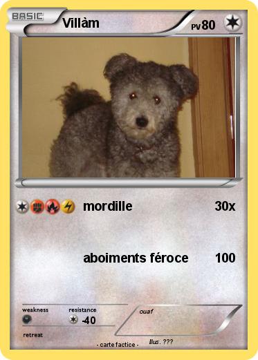 Pokemon Villàm