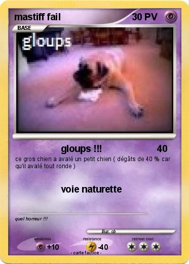 Pokemon mastiff fail