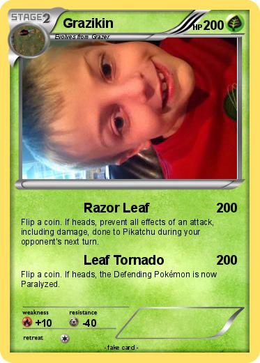 Pokemon Grazikin