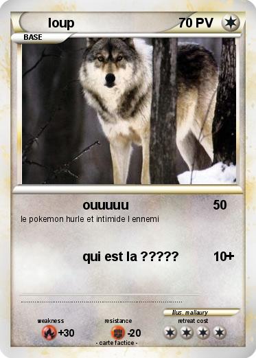 Pokemon loup