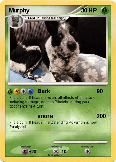 Pokemon Murphy