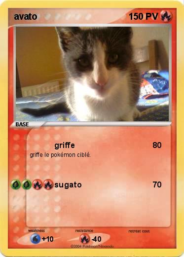 Pokemon avato