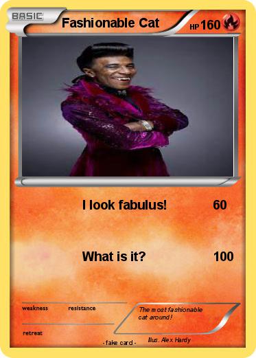 Pokemon Fashionable Cat